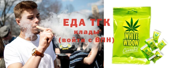 молекула духа Богородицк