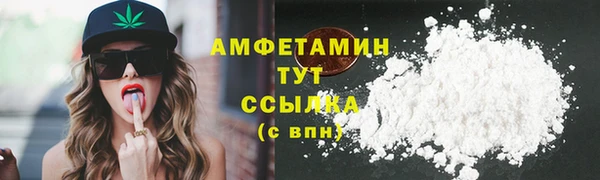 молекула духа Богородицк