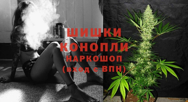 2c-b Богданович