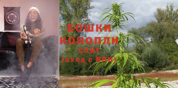 молекула духа Богородицк