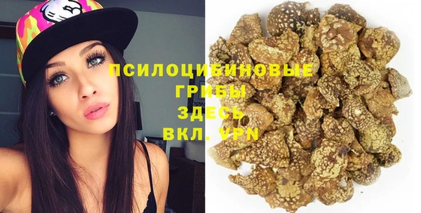 молекула духа Богородицк
