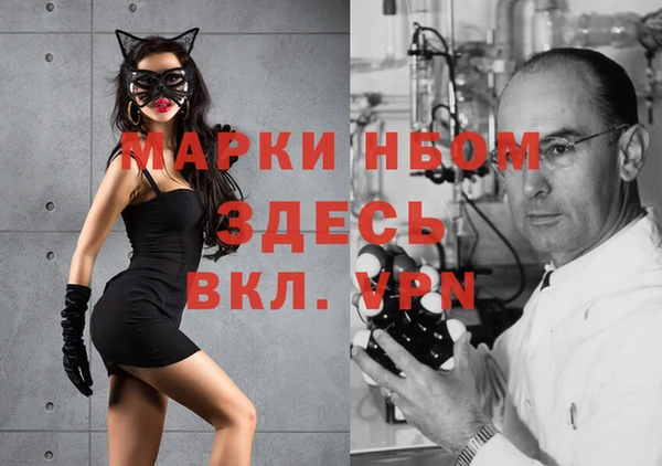 молекула духа Богородицк