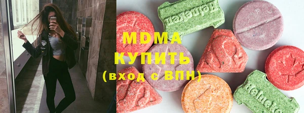 молекула духа Богородицк