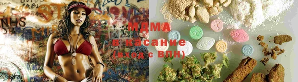 молекула духа Богородицк