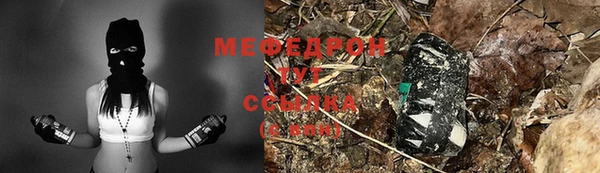 молекула духа Богородицк